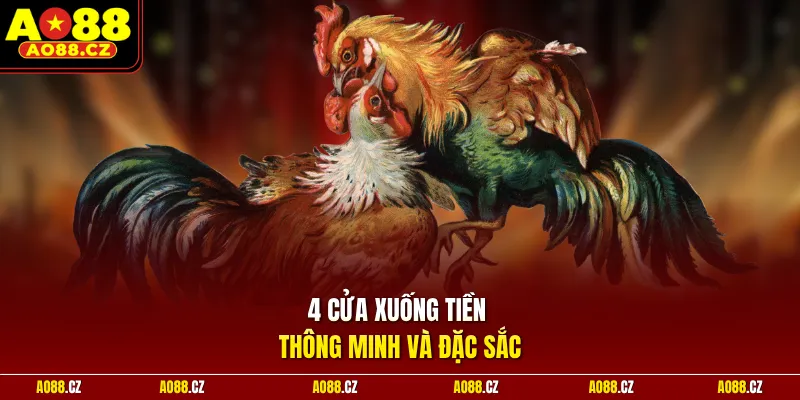 4 cửa xuống tiền thông minh và đặc sắc 