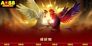 Đá Gà Tre - Trải Nghiệm Cược Theo Từng Cú Đá Cực Đỉnh
