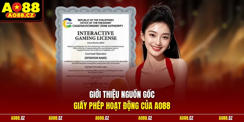 Giới thiệu nguồn gốc, giấy phép hoạt động của Ao88