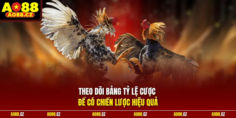 Theo dõi bảng tỷ lệ cược để có chiến lược hiệu quả