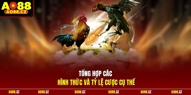 Tổng hợp các hình thức và tỷ lệ cược cụ thể 